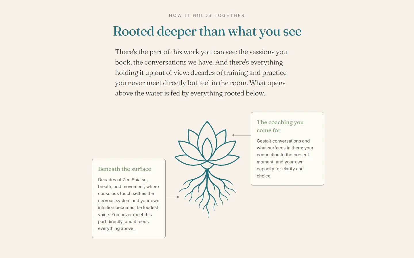 The coaching above the water, and the Zen Shiatsu, breathwork and movement it rests on.