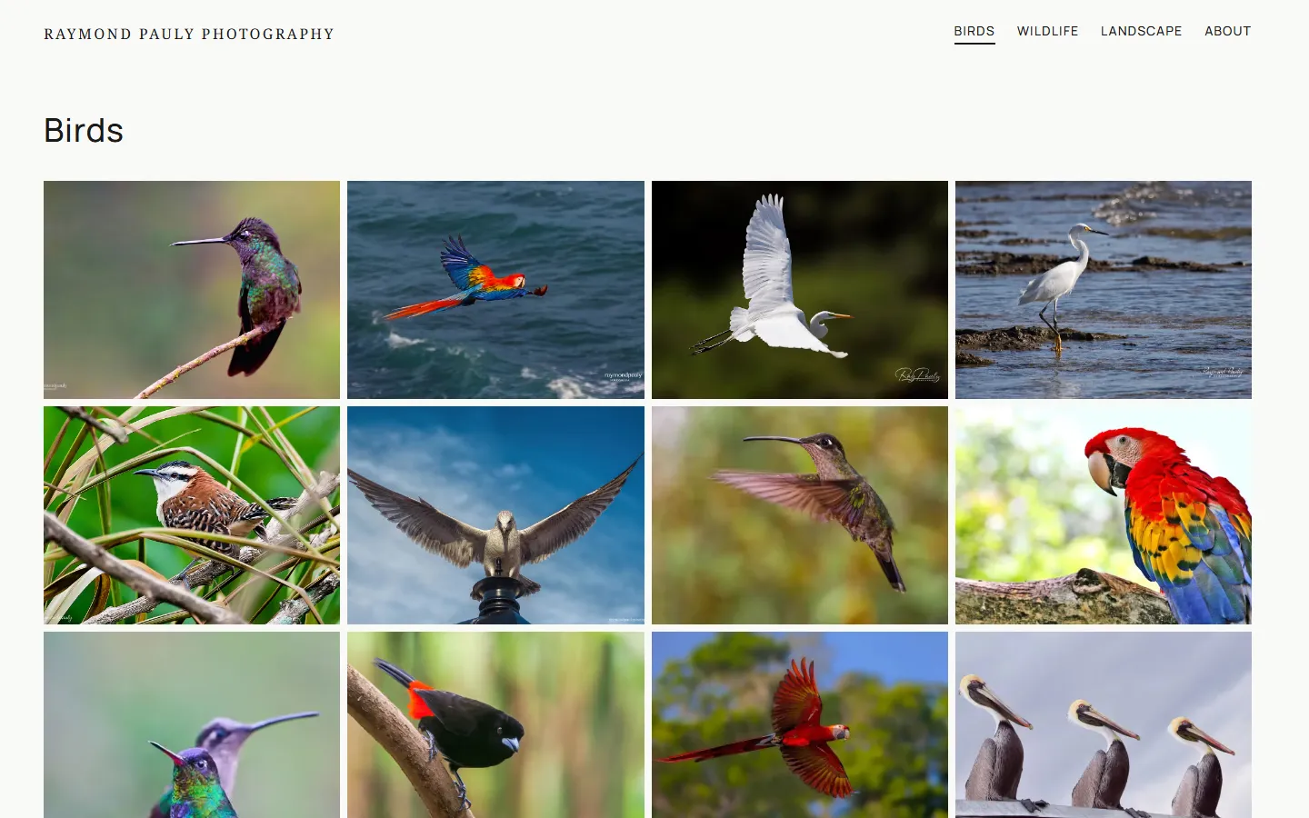 An album page shows its title and then the same grid.