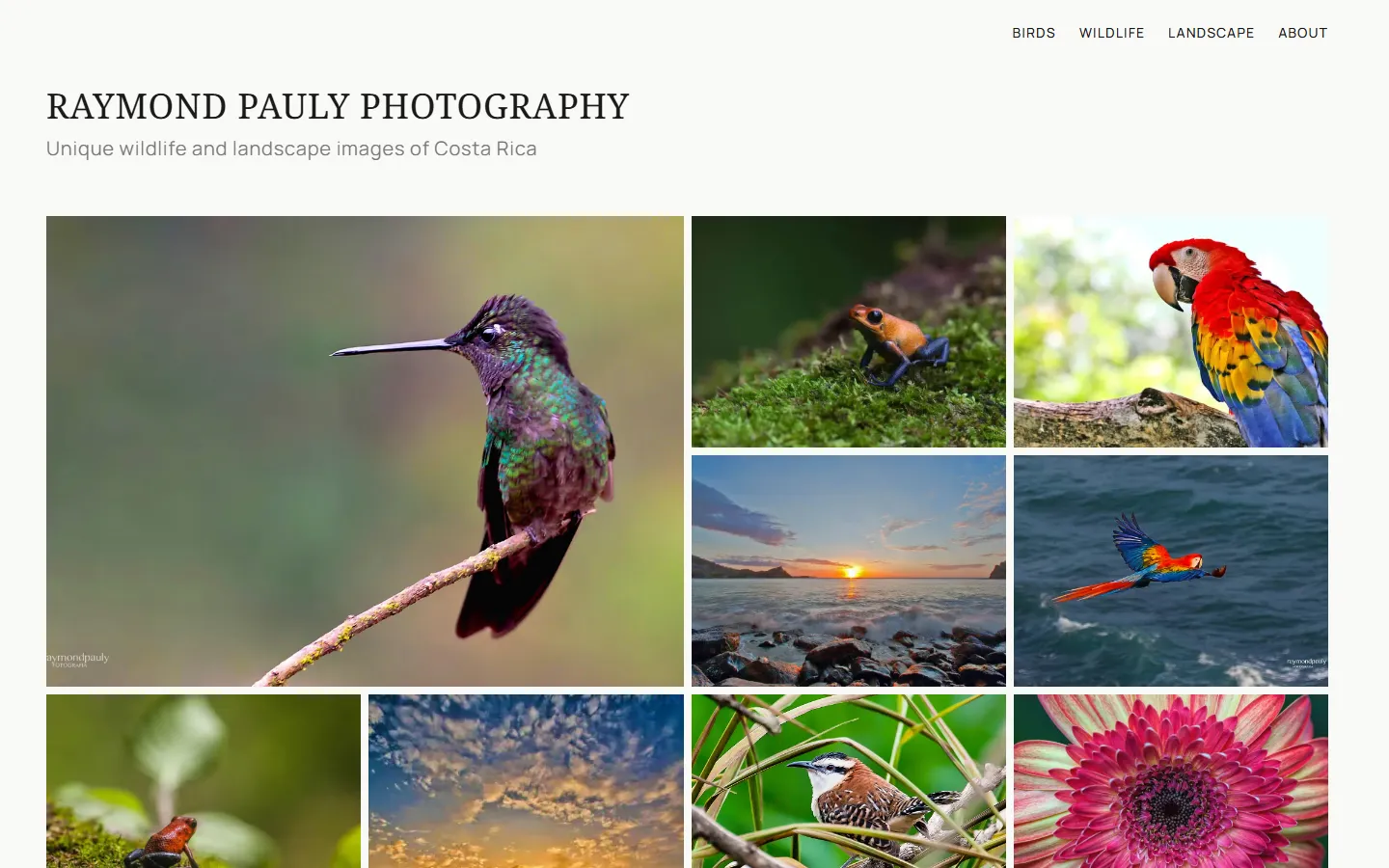 Ray Pauly Photo screenshot